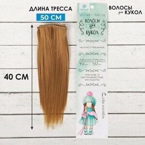Школа талантов Волосы - тресс для кукол «Прямые» длина волос: 15 см, ширина:100 см, цвет № 16А