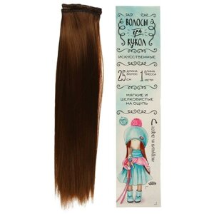 Школа талантов Волосы - тресс для кукол «Прямые» длина волос: 25 см, ширина:100 см, цвет № 12