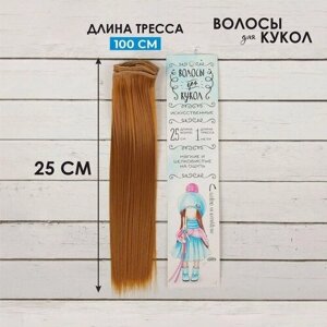 Школа талантов Волосы - тресс для кукол «Прямые» длина волос: 25 см, ширина:100 см, цвет № 27В