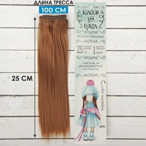 Школа талантов Волосы - тресс для кукол «Прямые» длина волос: 25 см, ширина:100 см, цвет № 30