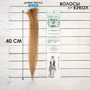 Школа талантов Волосы-тресс для кукол «Прямые» длина волос: 40 см, ширина: 50 см,18