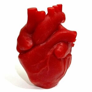 Силиконовая форма для мыла и свечей "Анатомическое сердце 3D", гипса 1шт 9*5,5*4,5 см