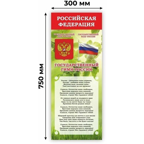 Стенд "Российская Федерация", цвет зеленый, размер 300х750 мм, Печатник от компании М.Видео - фото 1