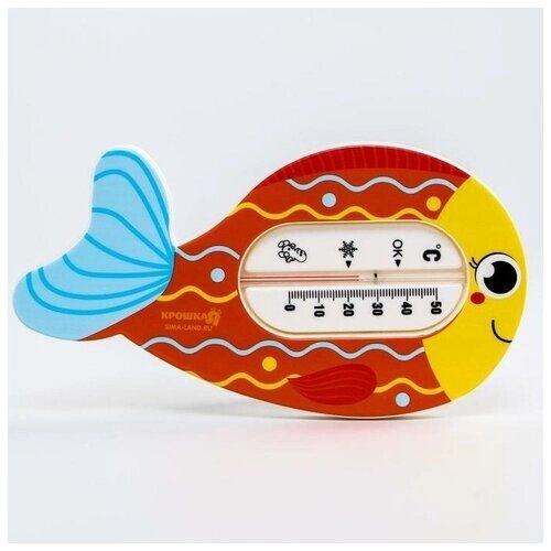 Термометр для измерения температуры воды, детский "Рыбка"