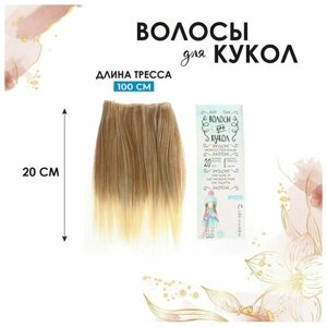 Волосы - тресс для кукол «Прямые» длина волос: 20 см, ширина: 100 см, LSA051