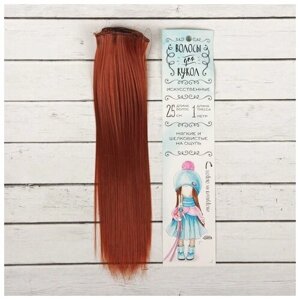 Волосы - тресс для кукол «Прямые» длина волос: 25 см, ширина:100 см, цвет № 13