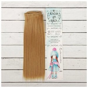 Волосы - тресс для кукол "Прямые" длина волос 25 см, ширина 100 см, цвет № 27