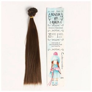 Волосы - тресс для кукол «Прямые» длина волос: 25 см ширина:100 см цвет № 6