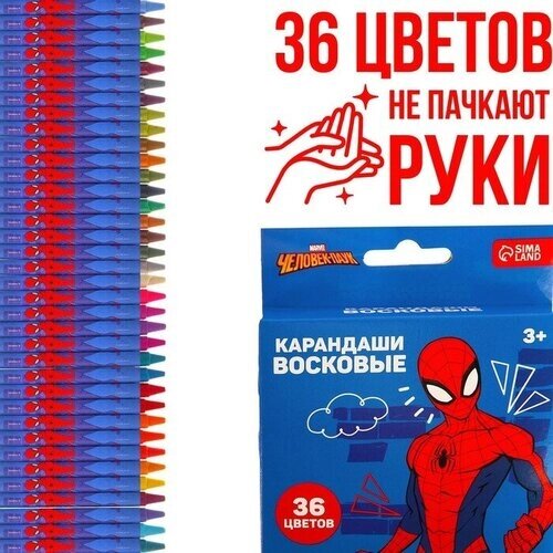 Восковые карандаши Человек-Паук, набор 36 цветов от компании М.Видео - фото 1