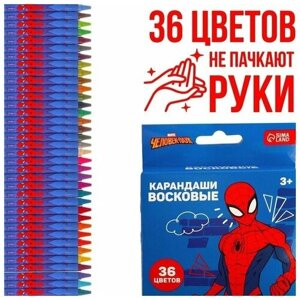 Восковые карандаши Человек-Паук, набор 36 цветов