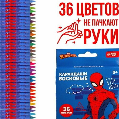Восковые карандаши, набор 36 цветов, Человек-Паук от компании М.Видео - фото 1