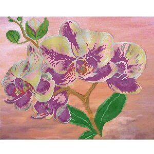 Вышивка бисером картины Орхидея 24*30см