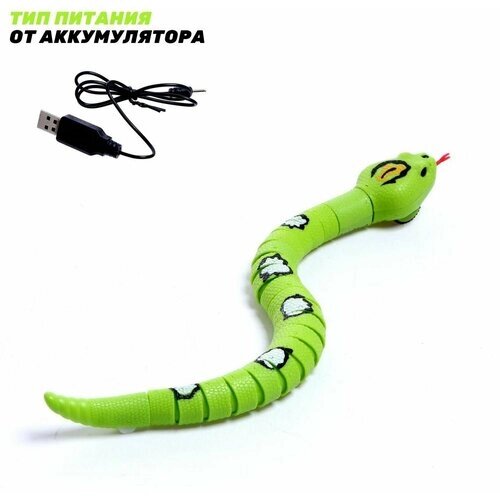 Змея радиоуправляемая Джунгли, работает от аккумулятора, цвет зеленый от компании М.Видео - фото 1