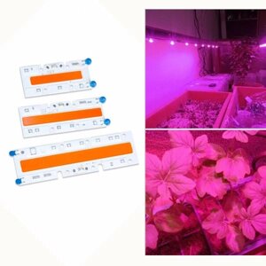 30W / 50W / 70W High Power Full Spectrum LED Увеличить COB Light Chip для растений Растительный AC110V / AC220V