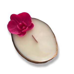 CANDLE ZEN Свеча ароматическая в кокосе с ароматом Морская соль и орхидея 200.0