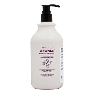 EVAS Pedison Маска для волос Арония Institute-beaut Aronia Color Protection Treatment 500