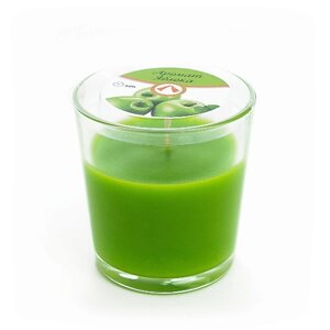 HOME INTERIORS Свеча в стакане аромат "Зеленое яблоко" 125