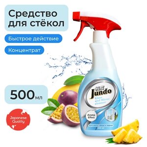 JUNDO Концентрированное средство для мытья стекол, пластика и зеркал Active foam с ароматом фруктов 500.0