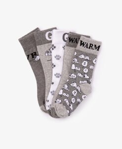Комплект носков для мальчика с принтом в подарочной упаковке Gulliver (22-24)
