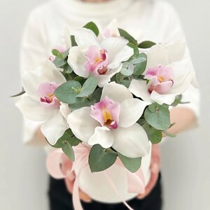 ЛЭТУАЛЬ FLOWERS Орхидеи с эвкалиптом в коробке Романтика / букет из орхидей / букет цветов