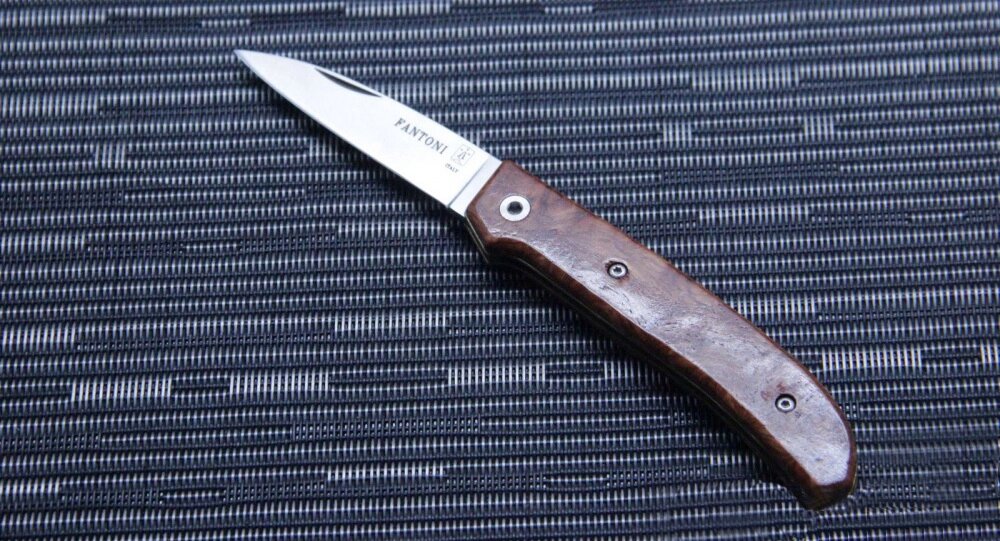 Нож складной Massimo Fantoni Design-2, Dweller, FAN/DWELLER/SnW, сталь 19C27, рукоять Snake Wood от компании Admi - фото 1