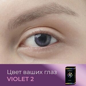 OKVISION Цветные контактные линзы OKVision Fusion color Violet 2 на 3 месяца