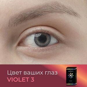 OKVISION Цветные контактные линзы OKVision Fusion color Violet 3 на 3 месяца