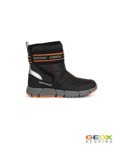 Зимние сапоги Geox (30)