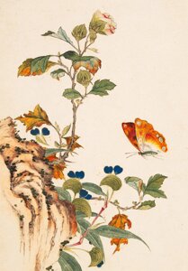Тетрадь Птицы и насекомые и цветы «Бабочка»