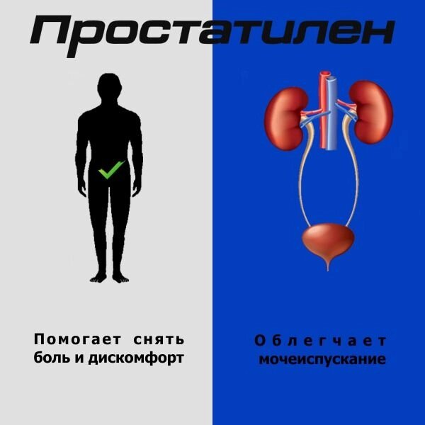 Простатилен лиофилизат для приг. раствора для в/м введ. 5мг 5мл 10шт от компании Admi - фото 1