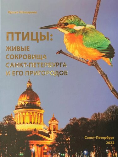Птицы: живые сокровища Санкт-Петербурга и его пригородов