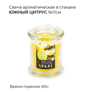 SPAAS Свеча ароматическая в стакане Южный цитрус 1