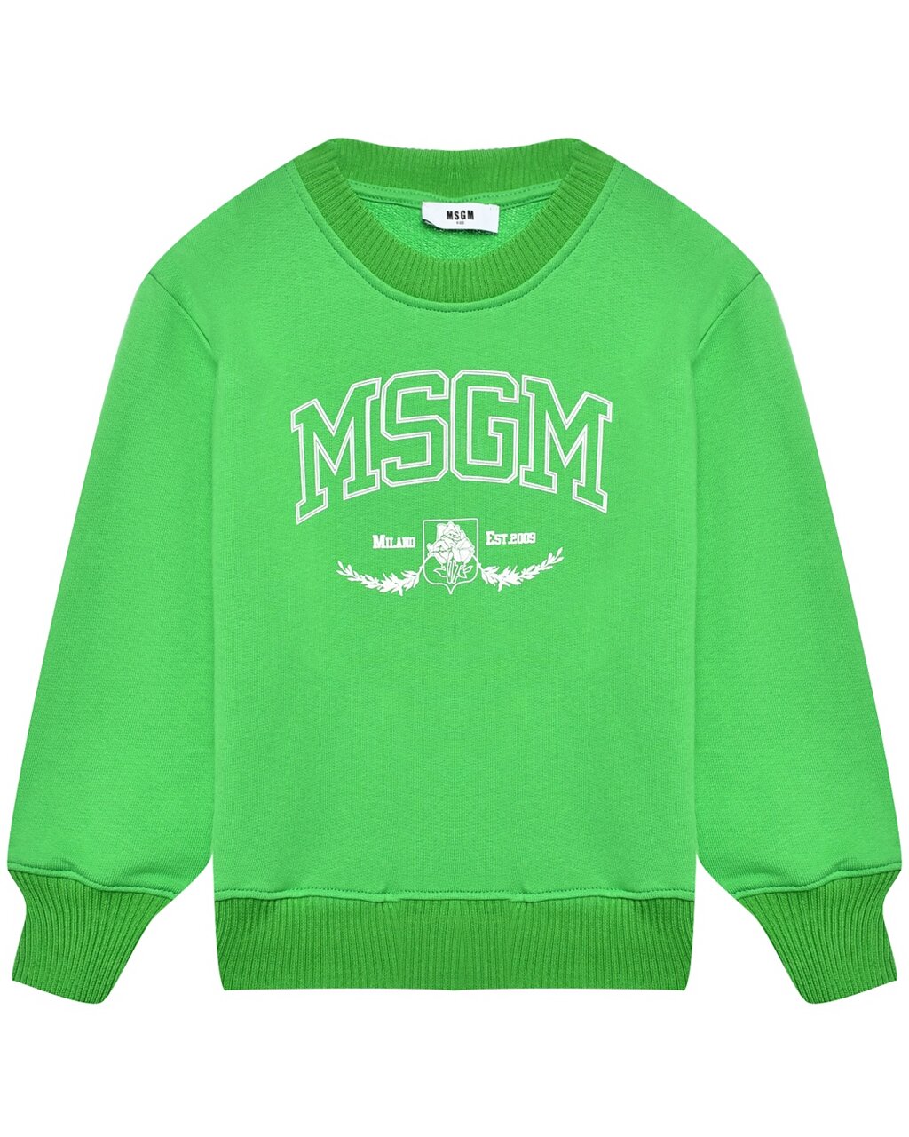 Свитшот с принтом логотипа, зеленый MSGM от компании Admi - фото 1