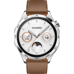 Умные часы HUAWEI Watch GT4, Phoinix-B19L, коричневые