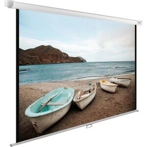 Экран cactus 138x220 см wallexpert CS-PSWE-220x138-WT (CS-PSWE-220X138-WT)