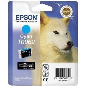 Картридж Epson R2880 (C13T09624010)