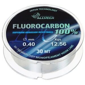 ALLVEGA Леска монофильная ALLVEGA FX Fluorocarbon 100%диаметр 0.40 мм, тест 12.56 кг, 30 м, прозрачная