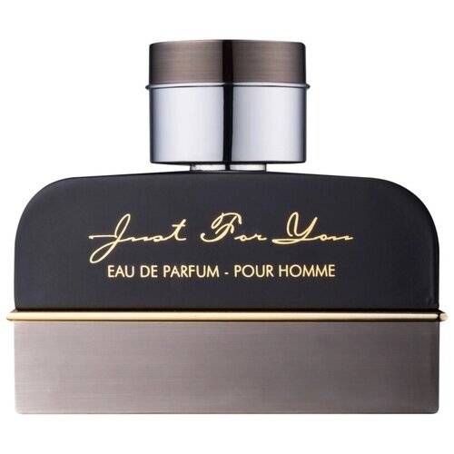 Armaf парфюмерная вода Just for You pour Homme, 100 мл