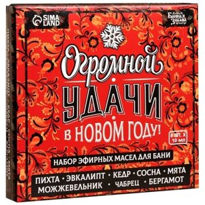 Банная забава набор эфирных масел Огромной удачи в новом году (9023040), 10 мл х 8 шт.