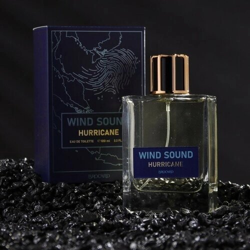 Brocard Parfums Туалетная вода мужская "Звук Ветра", "Ураган", 100 мл