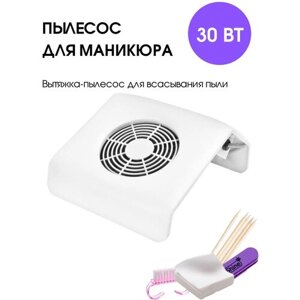 Cececoly Пылесос 858-11 (вытяжка) для маникюра, педикюра 30 Вт, в комплекте мешки для сбора опила