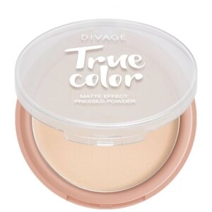 DIVAGE Пудра компактная True color 1 шт. 01 fair 9 г