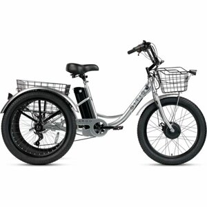 Электровелосипед Sitis Cargo рикша 24"2024) трехколесный, 350 Вт, взрослый, мужской, стальная рама,7 скоростей, дисковые механические тормоза, размер рамы 17, для роста 160-185 см