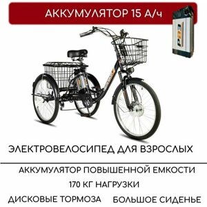 Электровелосипед трехколесный для взрослых РВЗ "Чемпион", 250 15, черный