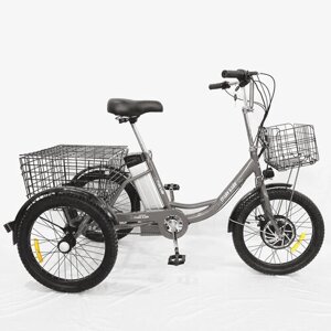 Электровелосипед (велосипед с электрическим приводом) трехколесный взрослый Трайк Байк Е20, цвет серебристый