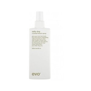 Evo Текстурирующий спрей для волос Salty Dog Salt Spray, слабая фиксация, 200 мл