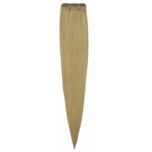 Hairshop Волосы на трессах 5Stars 8.1 (18) 40 см (50 гр) (Cветлый пепельно-русый)