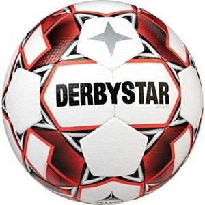 Мяч футбольный Derbystar Apus TT, размер 5, цвет (0096)