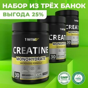 Набор креатинов из 3 шт, Креатин моногидрат порошок 1WIN, Creatine Monohydrate, Вкус Нейтральный, 30 порций, спортивное питание для набора массы тела