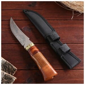 Нож охотничий "Схватка", в чехле, 23 см, лезвие с узором, рукоять деревянная 1228504